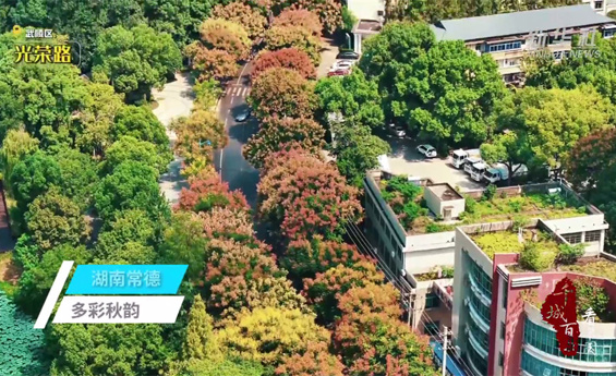 新华社 | 千城百县看中国 湖南常德:多彩秋韵